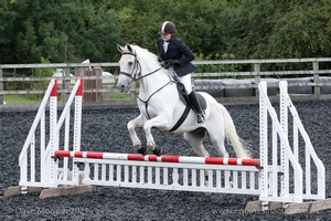 Class 5 - Fences not above 2'6